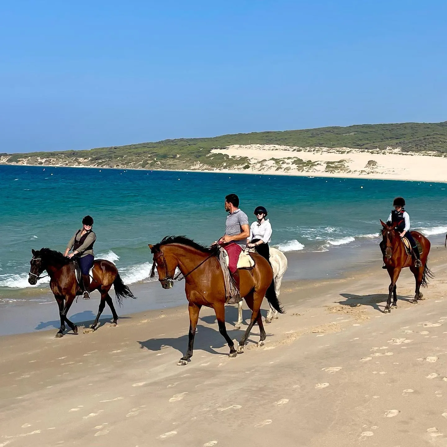 Ruta El Paseo