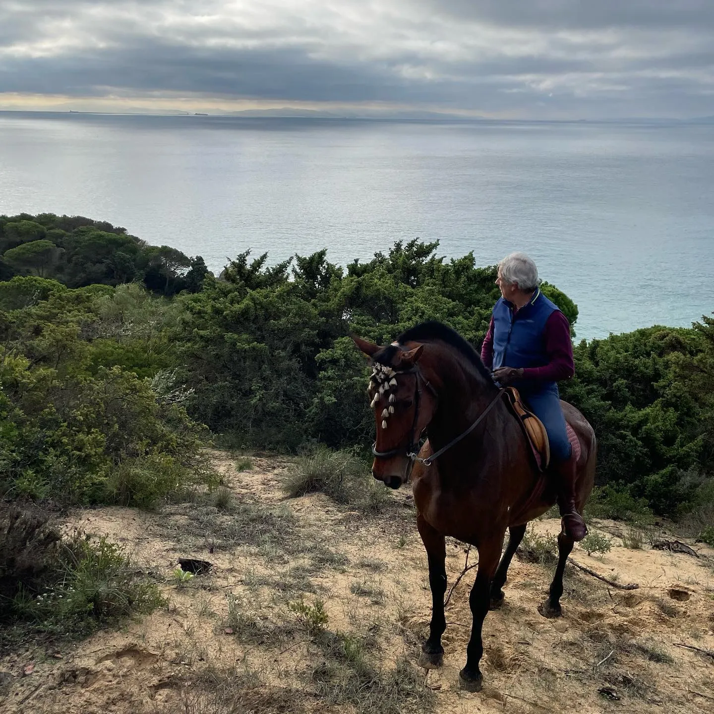 Jinete con caballo andaluz en la playa de Tarifa